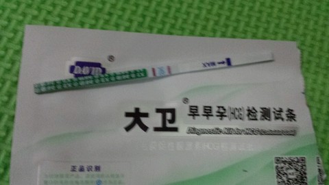 journal_insert_pic_208694606