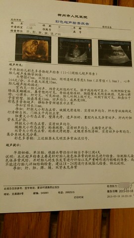 journal_insert_pic_209331671