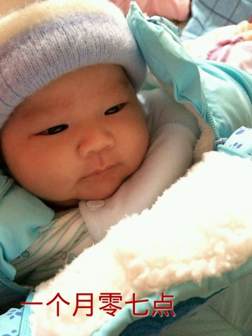 journal_insert_pic_209763040