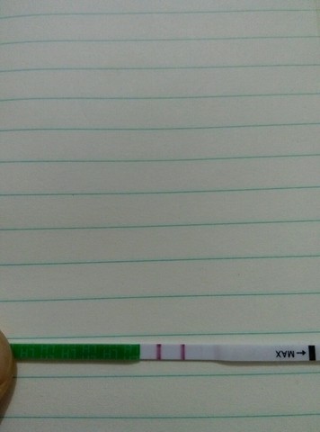 journal_insert_pic_209657674