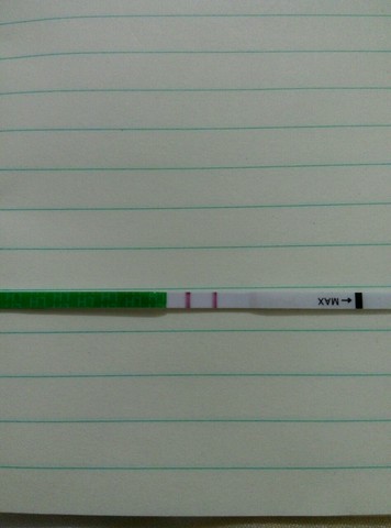 journal_insert_pic_209657591