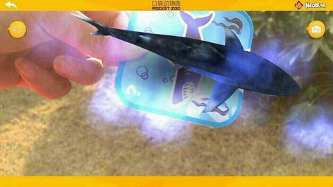 journal_insert_pic_210317607