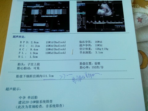 journal_insert_pic_211020297