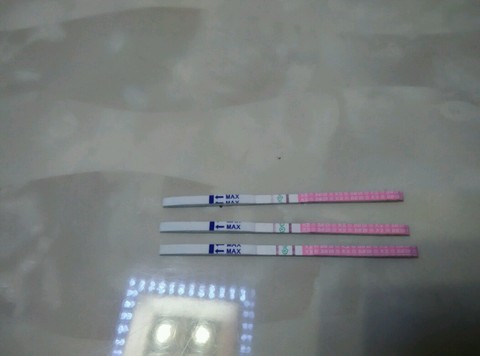 journal_insert_pic_211556121
