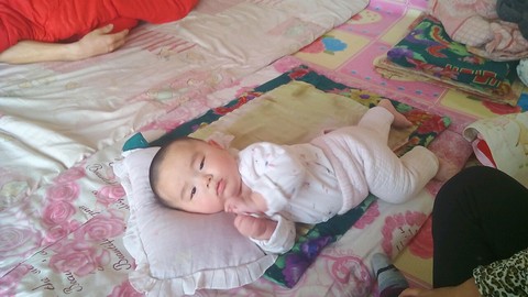 journal_insert_pic_213976531
