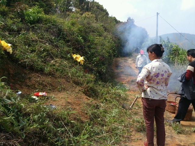 还有比我家更简单的扫墓么?(一天日记)