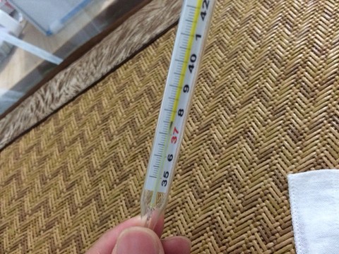 journal_insert_pic_213969415