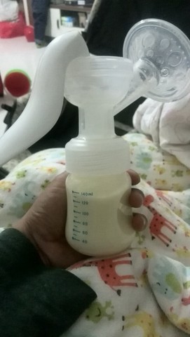 journal_insert_pic_215694455