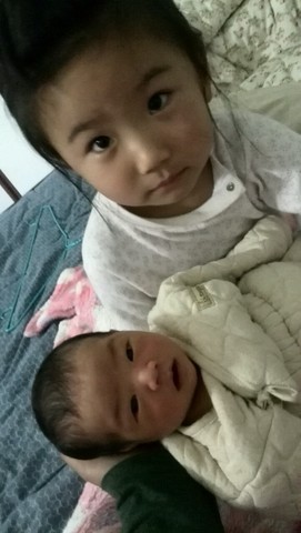 journal_insert_pic_215694558