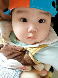 journal_insert_pic_216109711