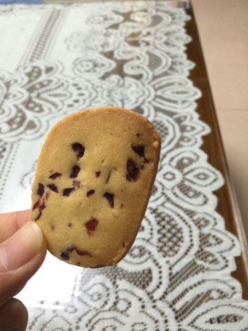 journal_insert_pic_216588944