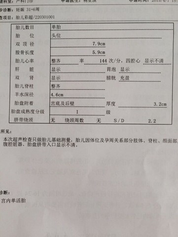 journal_insert_pic_217481599