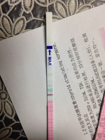 journal_insert_pic_217668817