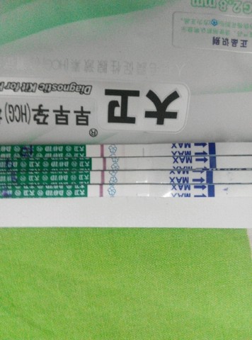 journal_insert_pic_218331038