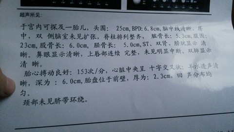 journal_insert_pic_219087929
