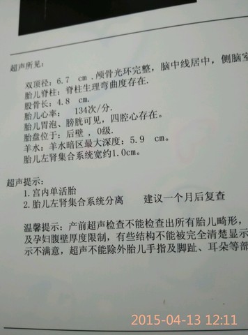journal_insert_pic_219218155