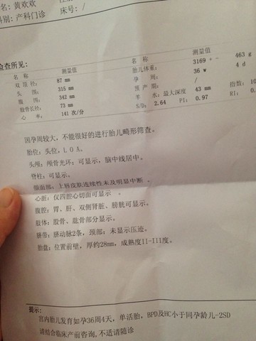 journal_insert_pic_219234772