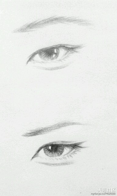 科普一下娱乐圈真正的丹凤眼 杏眼 狐狸眼桃花眼