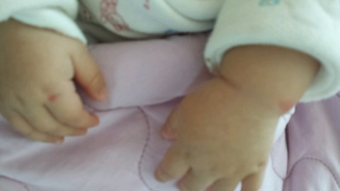 journal_insert_pic_223566049