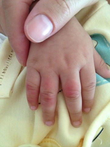 journal_insert_pic_223972724