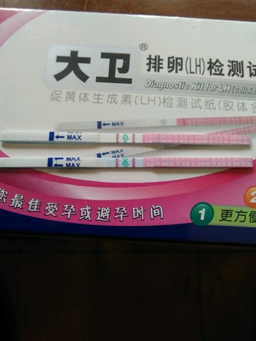 journal_insert_pic_224524546