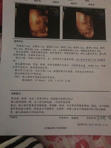 journal_insert_pic_225762645