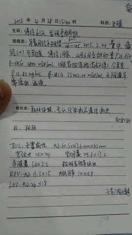 journal_insert_pic_226021741