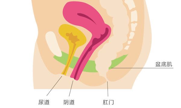 我順產疼了48小時,生完寶寶陰道下墜嚴重,我蹲下明顯感覺到往下墜的