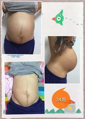 journal_insert_pic_231271124