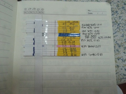 journal_insert_pic_231523849