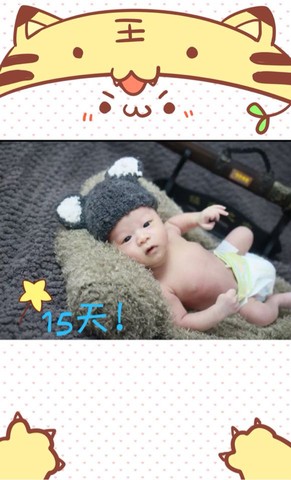 journal_insert_pic_231784243