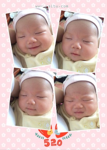 journal_insert_pic_232396308