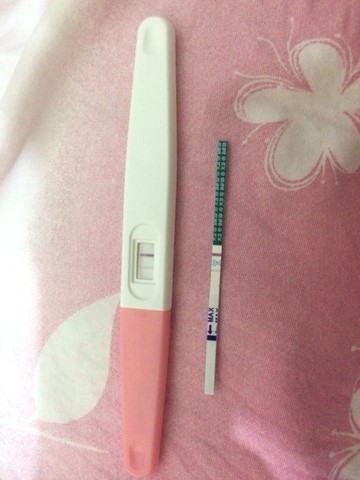 journal_insert_pic_233311595