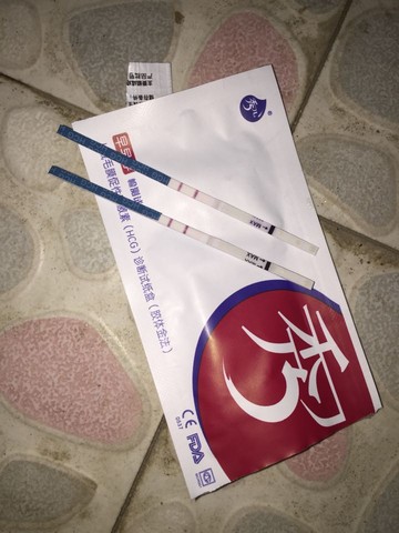 journal_insert_pic_234579750