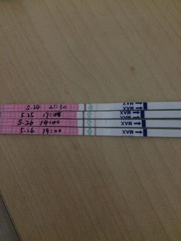 journal_insert_pic_234579726