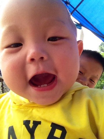 journal_insert_pic_235223506
