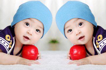 journal_insert_pic_235622608