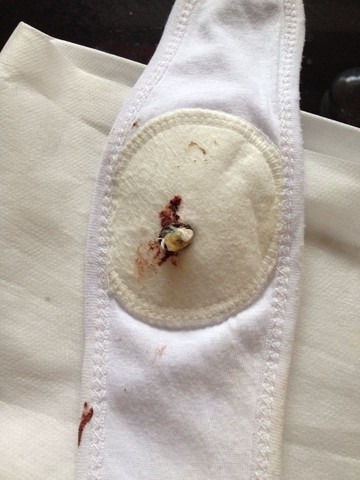 journal_insert_pic_235586400