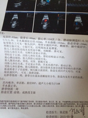 journal_insert_pic_235795579
