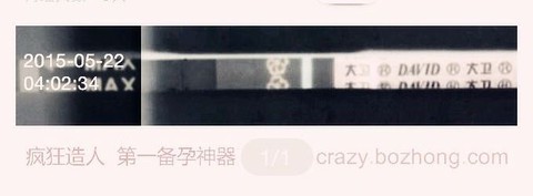journal_insert_pic_236183384