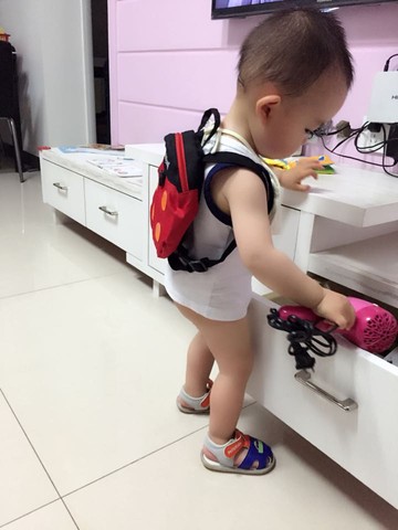 journal_insert_pic_237337042