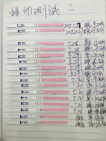 journal_insert_pic_237457043