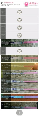 journal_insert_pic_238188921