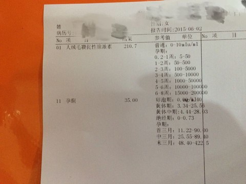 journal_insert_pic_238231302