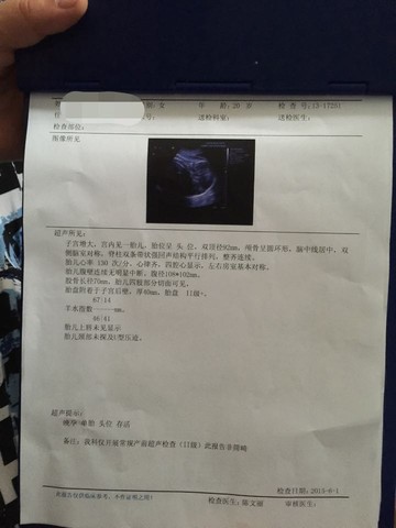 journal_insert_pic_238701378