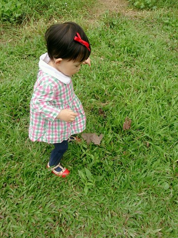 journal_insert_pic_239140290