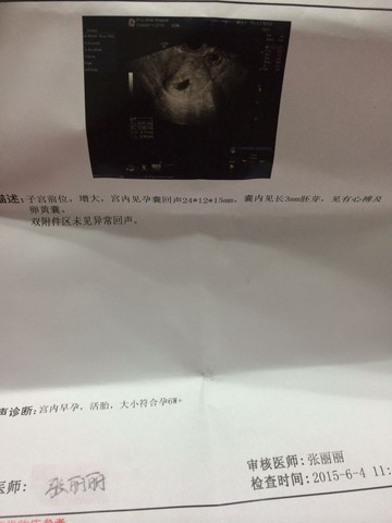 journal_insert_pic_239500109