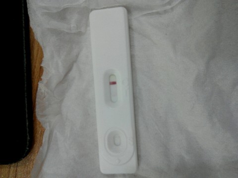 journal_insert_pic_239309858
