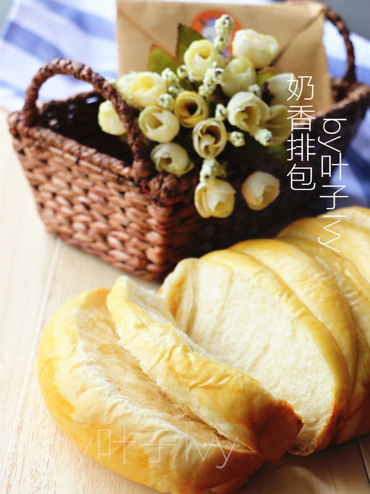 journal_insert_pic_239228922