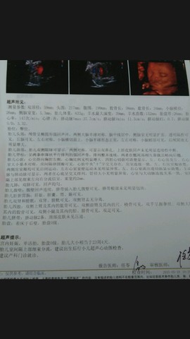 journal_insert_pic_239828866